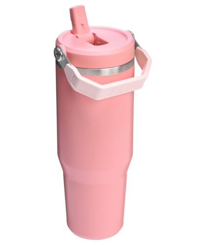 Stainless Steel Tumbler with Straw, Vacuum Insulated Water Bottle T393