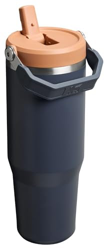 Stainless Steel Tumbler with Straw, Vacuum Insulated Water Bottle T393