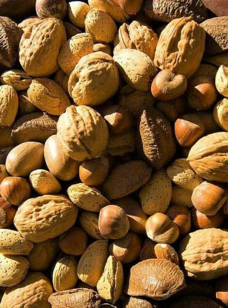 Mixed Nuts In-Shell 2 LB Z691