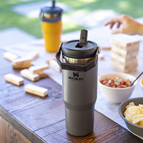 Stainless Steel Tumbler with Straw, Vacuum Insulated Water Bottle T393
