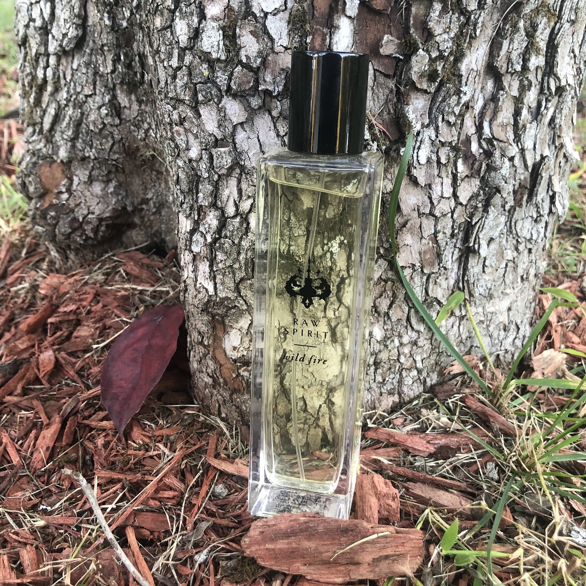 Unisex Perfume, Eau de Parfum Spray 3.4 oz D4637