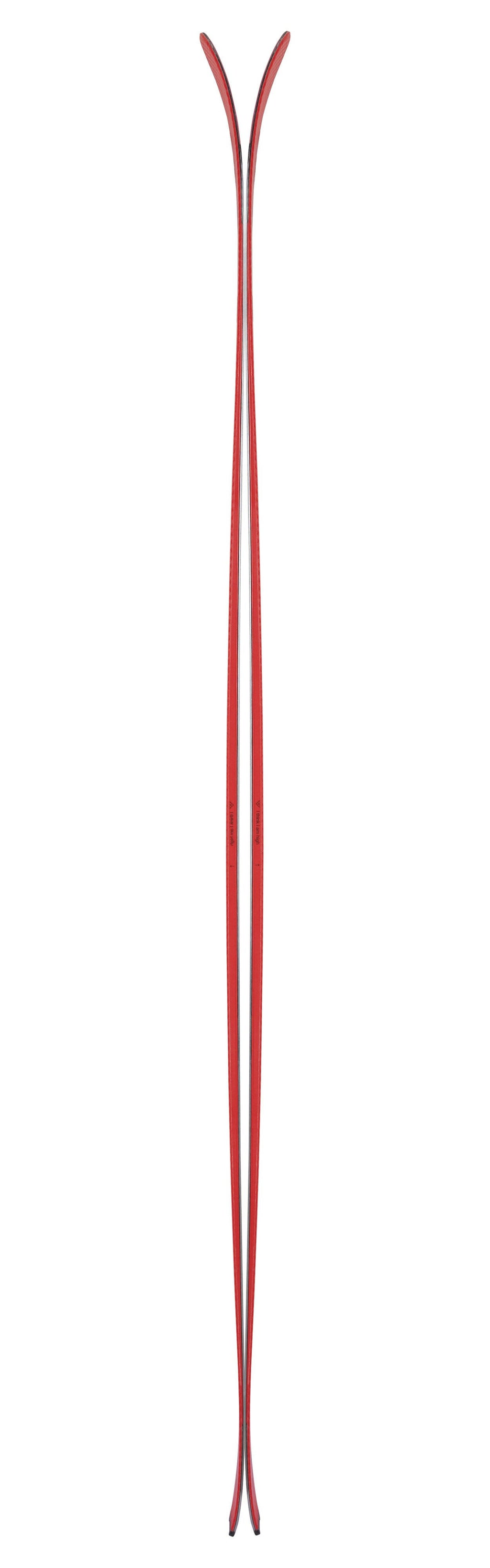 Camox Freebird Skis V35164