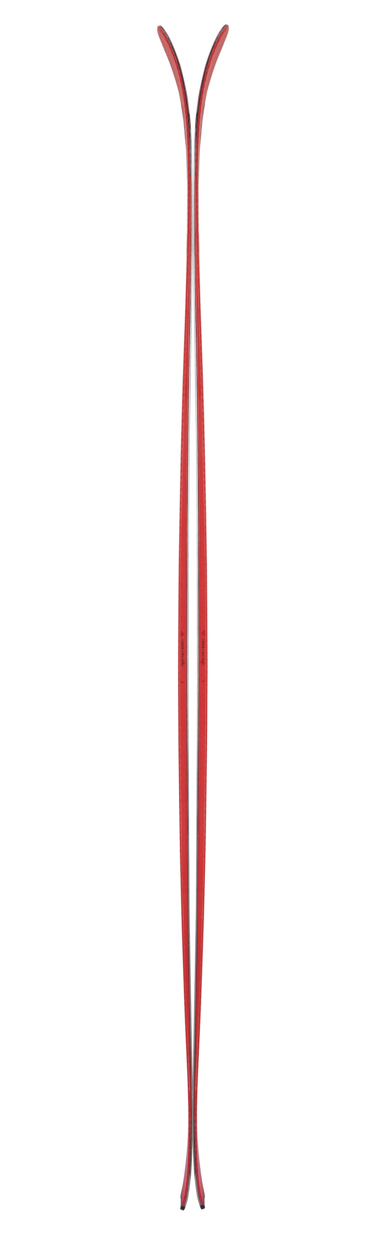 Camox Freebird Skis V35164