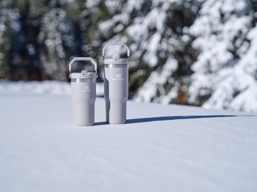 Stainless Steel Tumbler with Straw, Vacuum Insulated Water Bottle T393
