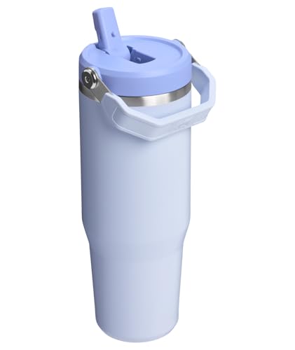 Stainless Steel Tumbler with Straw, Vacuum Insulated Water Bottle T393