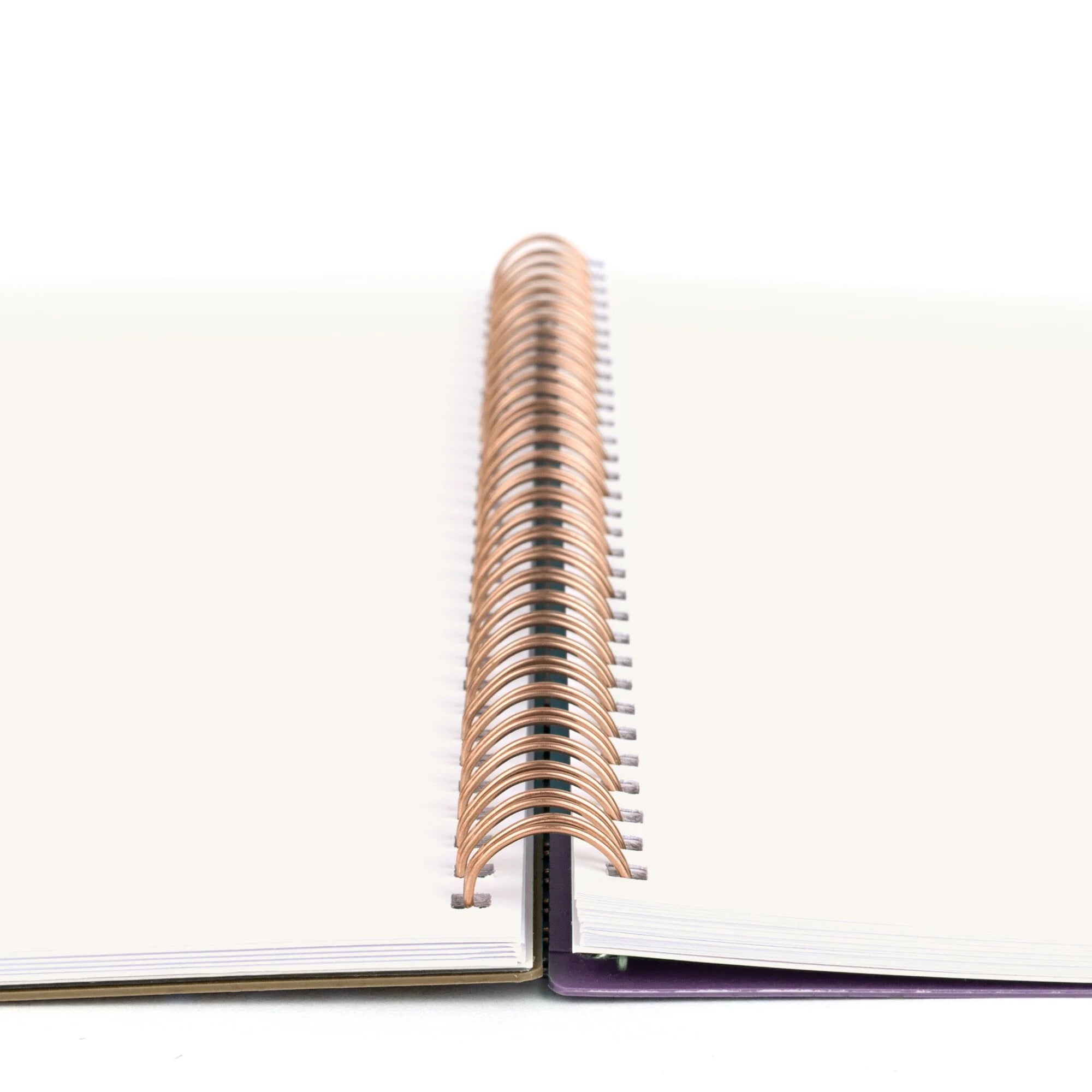 Weekly Monthly Planner Large 8.5 x 11 A5903