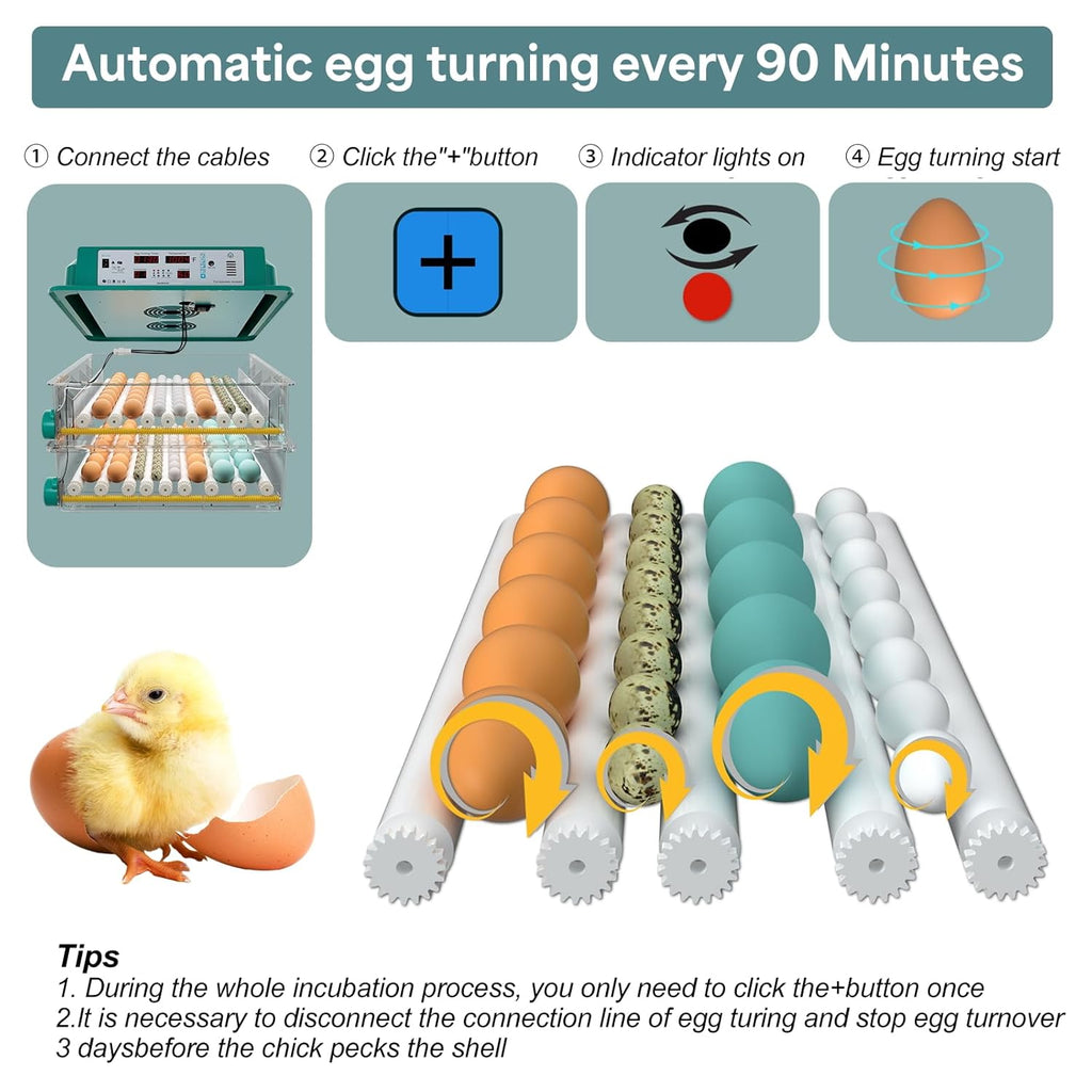 120 Eggs Incubator with Automatic Turning and Humidity Monitoring C66128