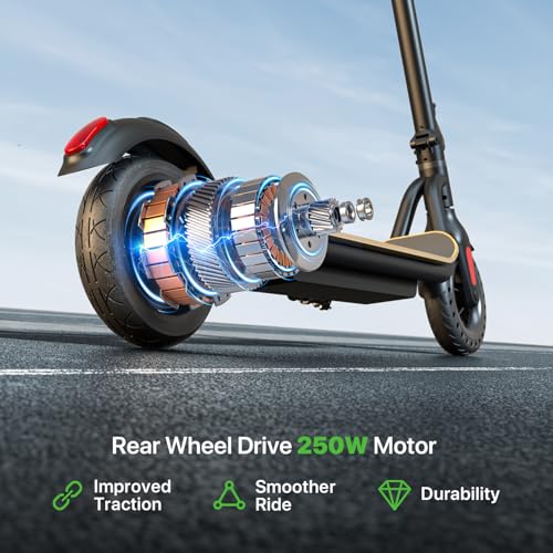 Electric Scooter for Adults, Long Range, Dual Suspension D190
