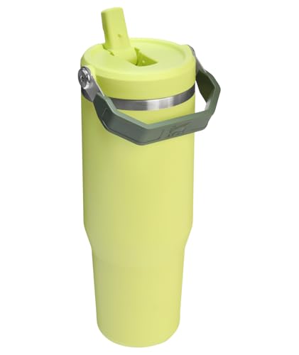 Stainless Steel Tumbler with Straw, Vacuum Insulated Water Bottle T393