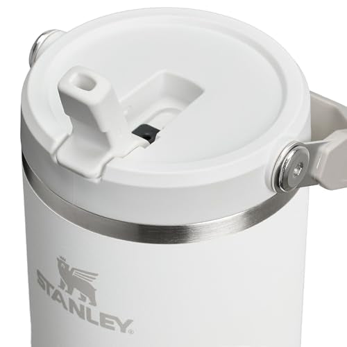 Stainless Steel Tumbler with Straw, Vacuum Insulated Water Bottle T393