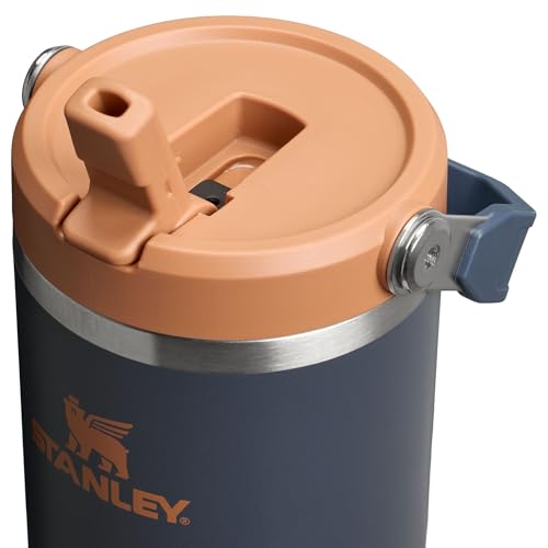 Stainless Steel Tumbler with Straw, Vacuum Insulated Water Bottle T393