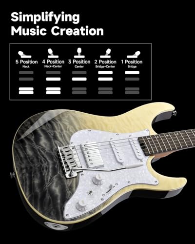 Electric Guitar with Poplar Body, Laurel Fretboard, Tremolo Bridge V5893
