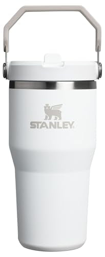 Stainless Steel Tumbler with Straw, Vacuum Insulated Water Bottle T393