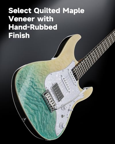 Electric Guitar with Poplar Body, Laurel Fretboard, Tremolo Bridge V5893