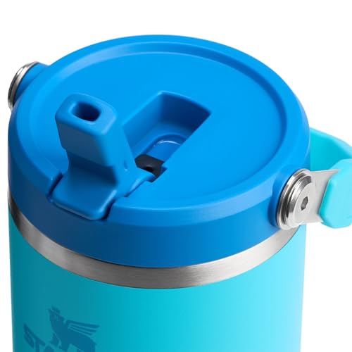 Stainless Steel Tumbler with Straw, Vacuum Insulated Water Bottle T393