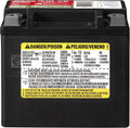 ACDelco AUX12 Professional Automotive AGM JIS 12BS Battery
