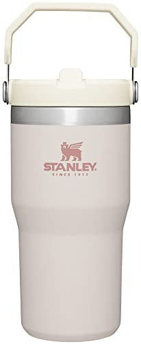 Stainless Steel Tumbler with Straw, Vacuum Insulated Water Bottle T393