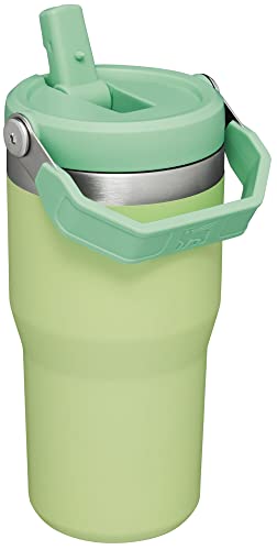 Stainless Steel Tumbler with Straw, Vacuum Insulated Water Bottle T393