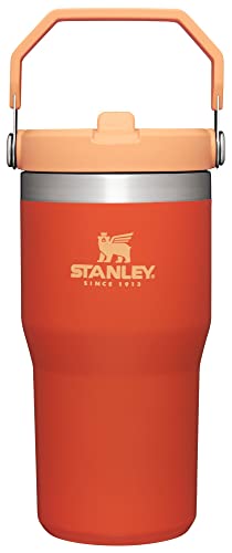 Stainless Steel Tumbler with Straw, Vacuum Insulated Water Bottle T393