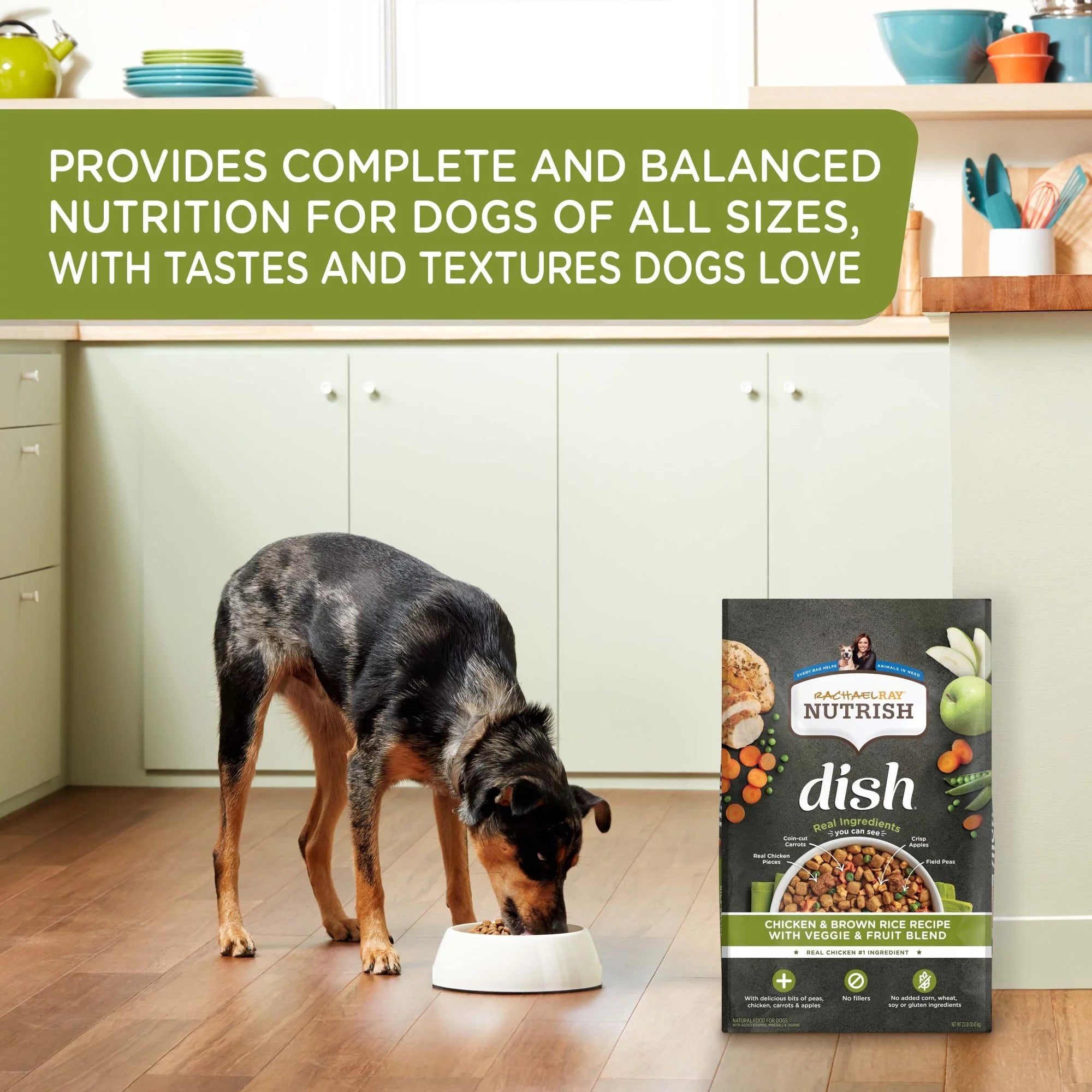 Dry Dog Food, Chicken & Brown Rice Recipe with Veggie & Fruit Blend, 23 lb. Bag Z405222