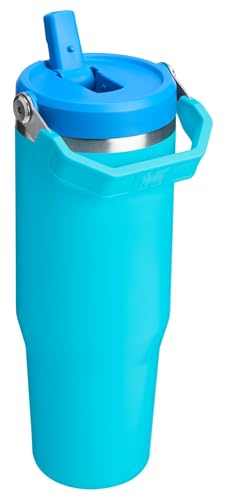 Stainless Steel Tumbler with Straw, Vacuum Insulated Water Bottle T393