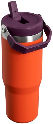 Stainless Steel Tumbler with Straw, Vacuum Insulated Water Bottle T393