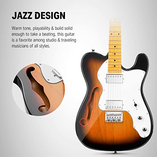 Jazz Electric Guitar Thinline Hollow Body with HH Pickups D865