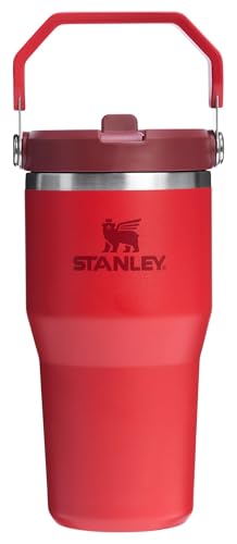 Stainless Steel Tumbler with Straw, Vacuum Insulated Water Bottle T393