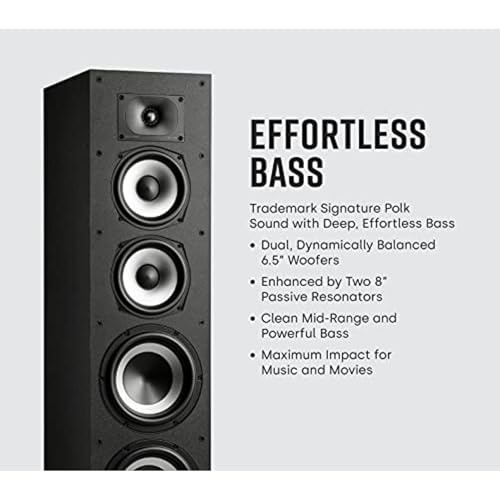 10" Home Subwoofer with 100W Amplifier, Dolby Atmos & DTS:X Compatible P253133