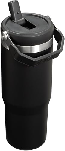 Stainless Steel Tumbler with Straw, Vacuum Insulated Water Bottle T393