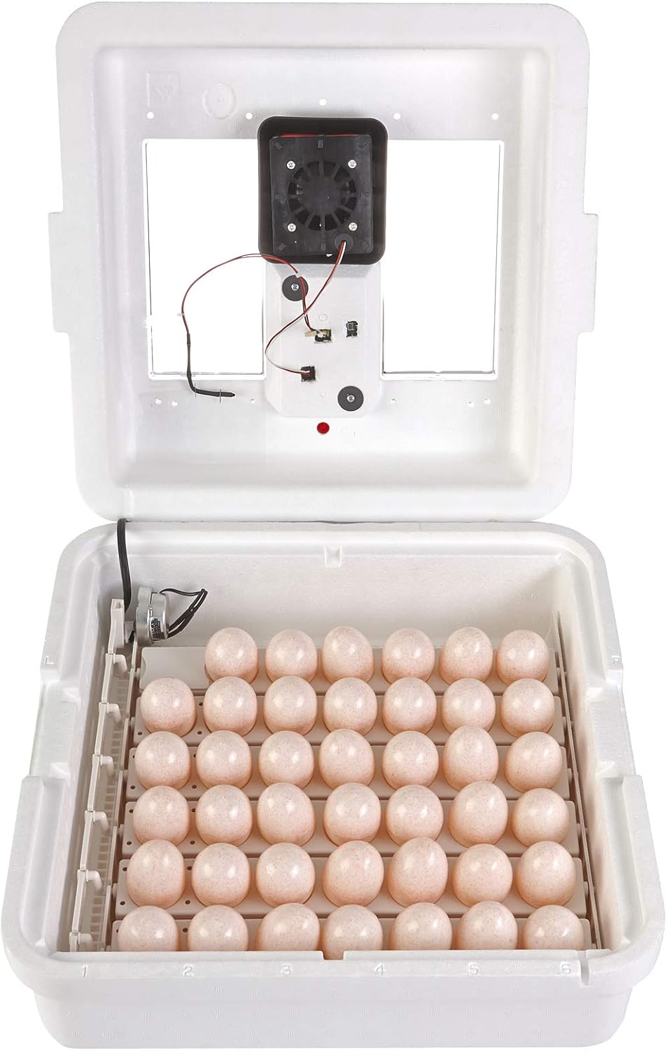 Digital Still Air Incubator for 41 Eggs with Temperature and Humidity Control O444889
