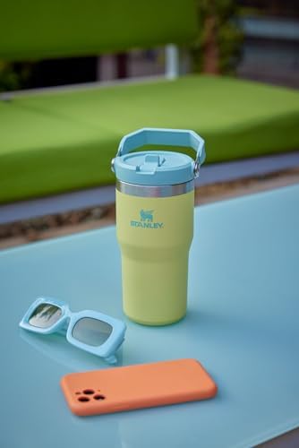 Stainless Steel Tumbler with Straw, Vacuum Insulated Water Bottle T393