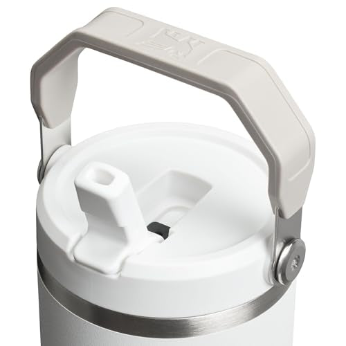Stainless Steel Tumbler with Straw, Vacuum Insulated Water Bottle T393