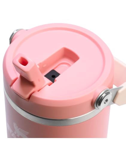 Stainless Steel Tumbler with Straw, Vacuum Insulated Water Bottle T393