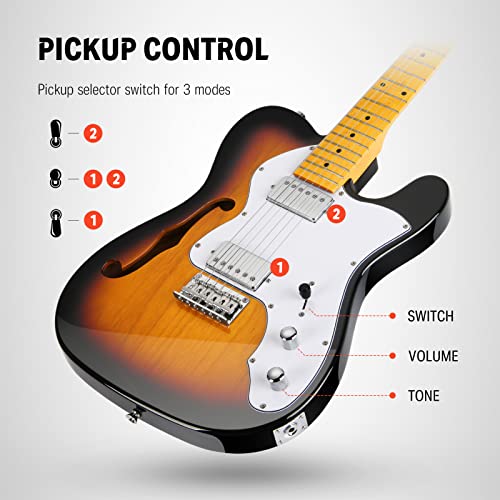 Jazz Electric Guitar Thinline Hollow Body with HH Pickups D865
