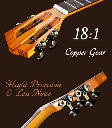 Concert Ukulele 23 Inch Acacia Wood with Starter Kit G87470