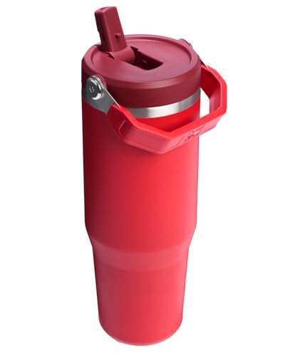 Stainless Steel Tumbler with Straw, Vacuum Insulated Water Bottle T393