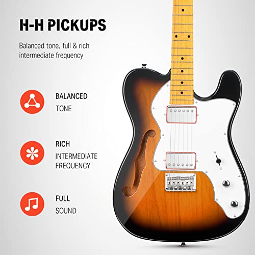 Jazz Electric Guitar Thinline Hollow Body with HH Pickups D865