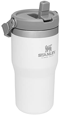 Stainless Steel Tumbler with Straw, Vacuum Insulated Water Bottle T393