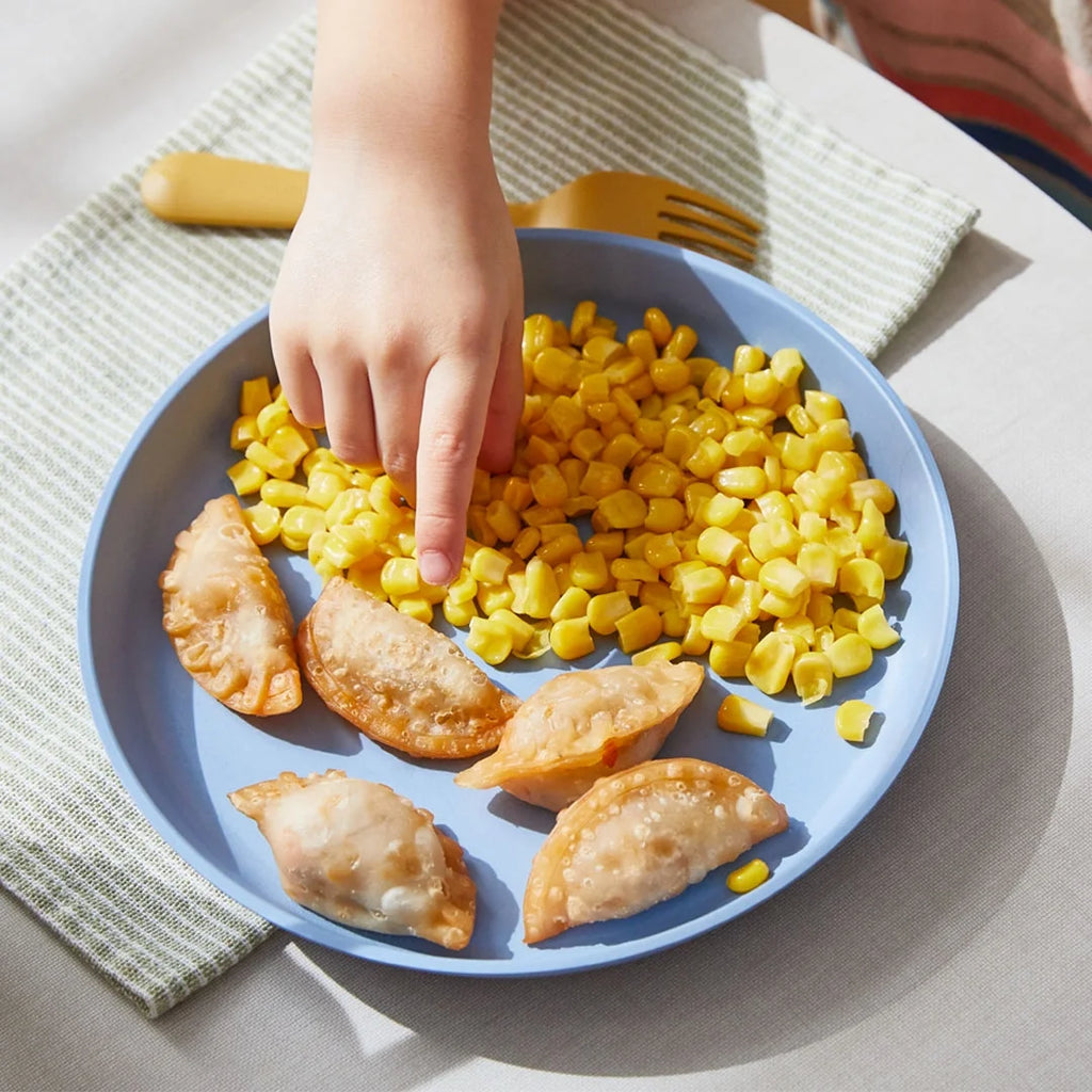 Toddler & Kid Food Sampler: 4 Meals, 2 Smoothies & a Snack K449341