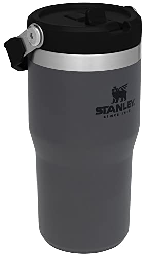 Stainless Steel Tumbler with Straw, Vacuum Insulated Water Bottle T393