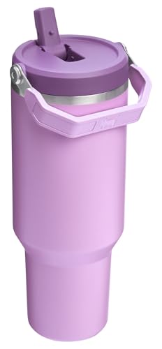 Stainless Steel Tumbler with Straw, Vacuum Insulated Water Bottle T393