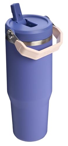 Stainless Steel Tumbler with Straw, Vacuum Insulated Water Bottle T393