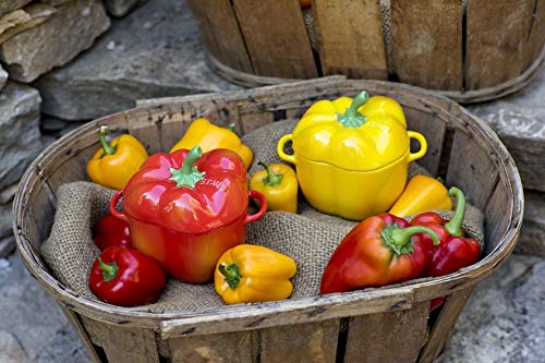 Ceramic Cocotte, Microwave Safe W513