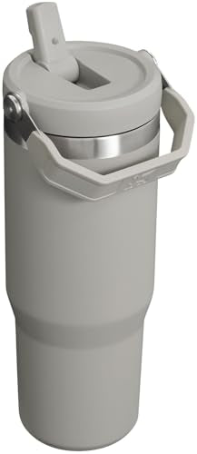 Stainless Steel Tumbler with Straw, Vacuum Insulated Water Bottle T393