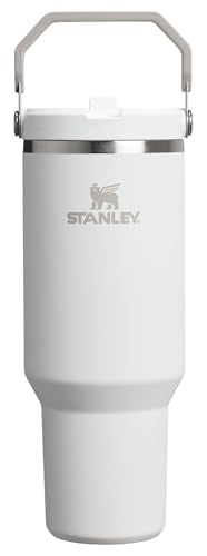 Stainless Steel Tumbler with Straw, Vacuum Insulated Water Bottle T393