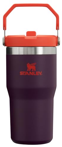 Stainless Steel Tumbler with Straw, Vacuum Insulated Water Bottle T393