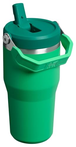Stainless Steel Tumbler with Straw, Vacuum Insulated Water Bottle T393