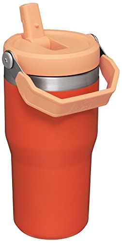 Stainless Steel Tumbler with Straw, Vacuum Insulated Water Bottle T393