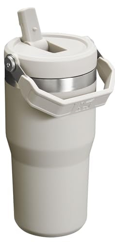 Stainless Steel Tumbler with Straw, Vacuum Insulated Water Bottle T393